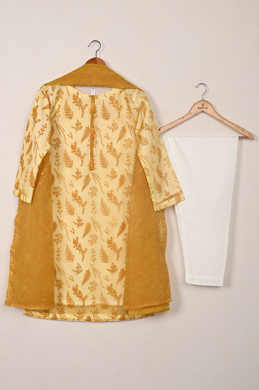 RTW-379 | Women’s Organza 3Pc