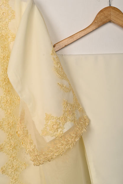 RTW-294 | Women’s Organza 3Pc