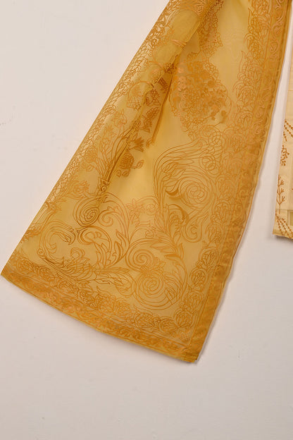 RTW-379 | Women’s Organza 3Pc