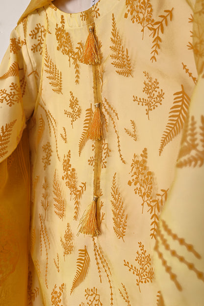 RTW-379 | Women’s Organza 3Pc