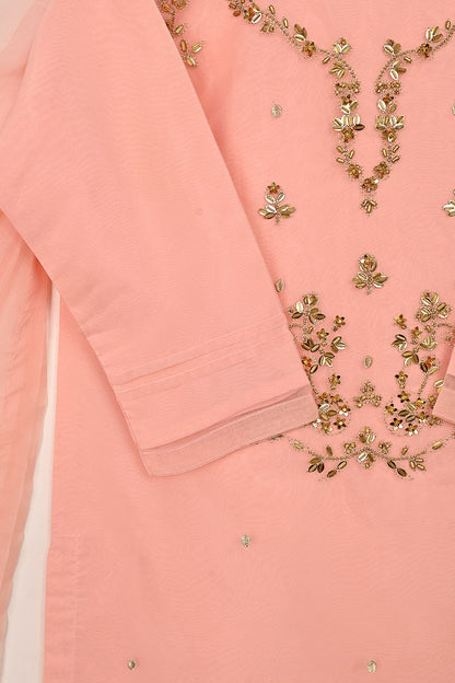 RTW-270 | Women’s Organza 3Pc