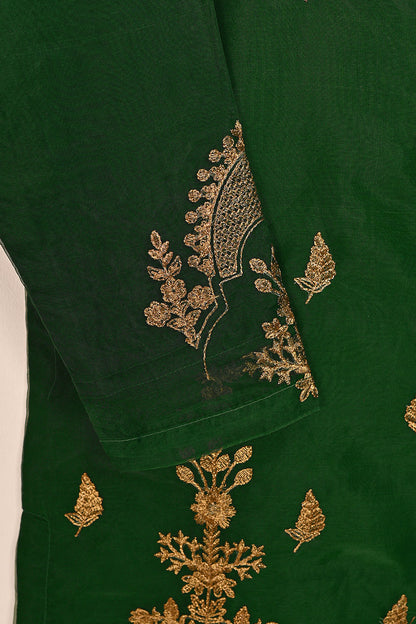 STP-080E-Green - 2Pc Organza Embroidered With Malai Trouser
