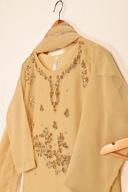 RTW-189-Skin - 3Pc Ready to Wear Embroidered Adda Work Chiffon Dress