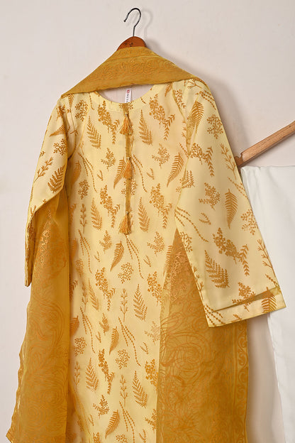 RTW-379 | Women’s Organza 3Pc