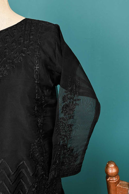 RTW-61-Black -  3Pc Stitched Embroidered Organza Dress