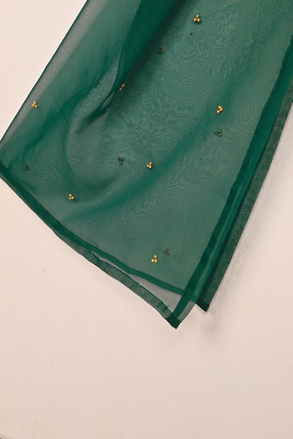 RTW-238 | Women’s Organza 3Pc