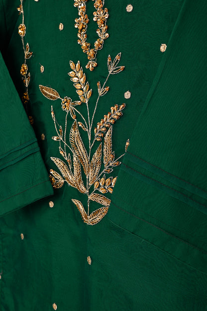 RTW-238 | Women’s Organza 3Pc