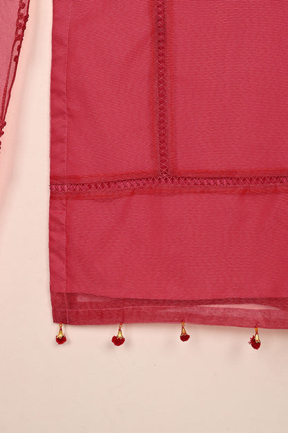 RTW-236-Cherry Pink -  3Pc Ready to Wear Javeria Net Dress