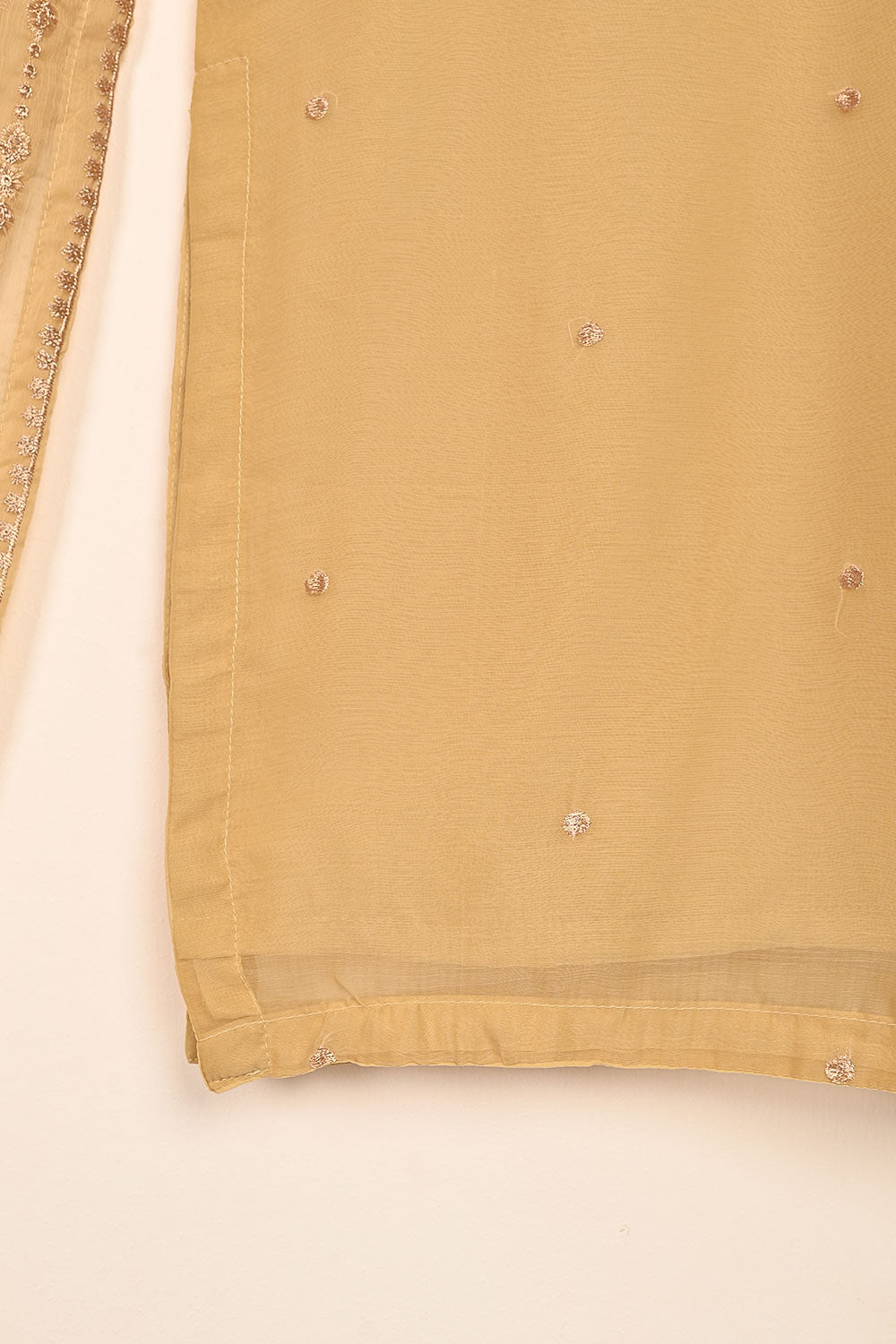 RTW-189-Skin - 3Pc Ready to Wear Embroidered Adda Work Chiffon Dress