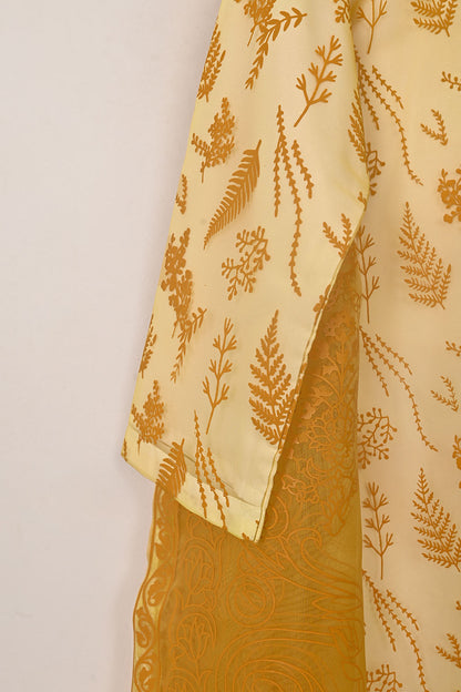 RTW-379 | Women’s Organza 3Pc