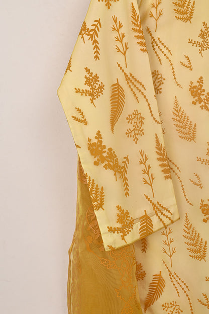 RTW-379 | Women’s Organza 3Pc