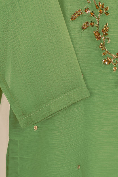 RTW-176-Pista - 3Pc Ready to Wear Embroidered Adda Work Chiffon Dress