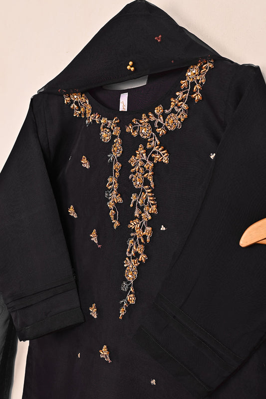 RTW-257 | Women’s Organza 3Pc