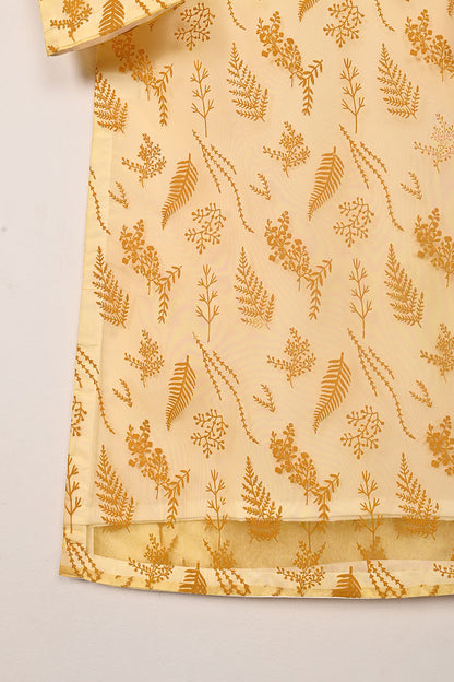 RTW-379 | Women’s Organza 3Pc