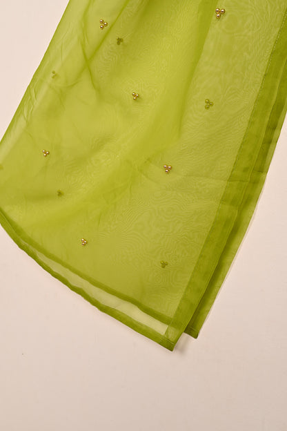 RTW-223 | Women’s Organza 3Pc