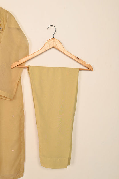 RTW-189-Skin - 3Pc Ready to Wear Embroidered Adda Work Chiffon Dress