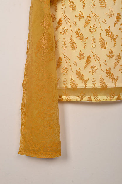 RTW-379 | Women’s Organza 3Pc