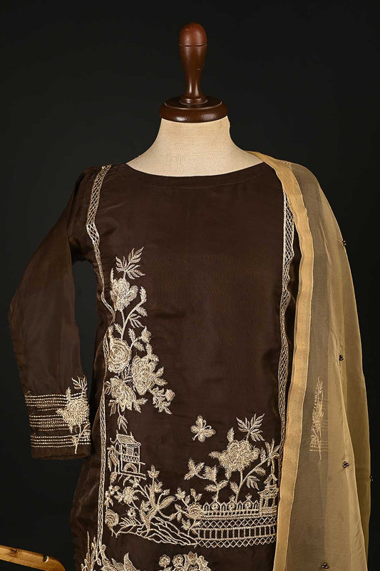 RTW-64-Brown -  3Pc Stitched Embroidered Organza Dress